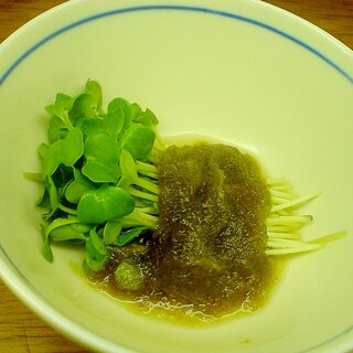 カイワレ大根のトロロ風味